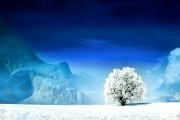 世界登山青年导师生态修复项目第21批结项名单公布，世界登山协会